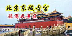 打女生光屁股视频真人版大全中国北京-东城古宫旅游风景区